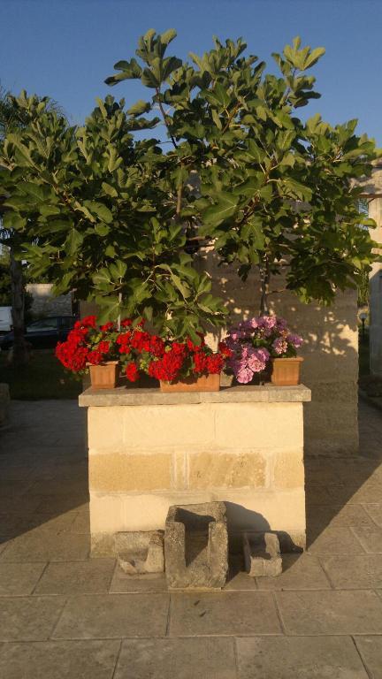 Masseria Grande Hotel Torre dell'Orso Exterior foto
